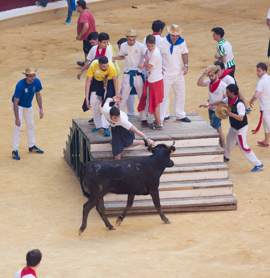 Peñistas, ¡al toro!