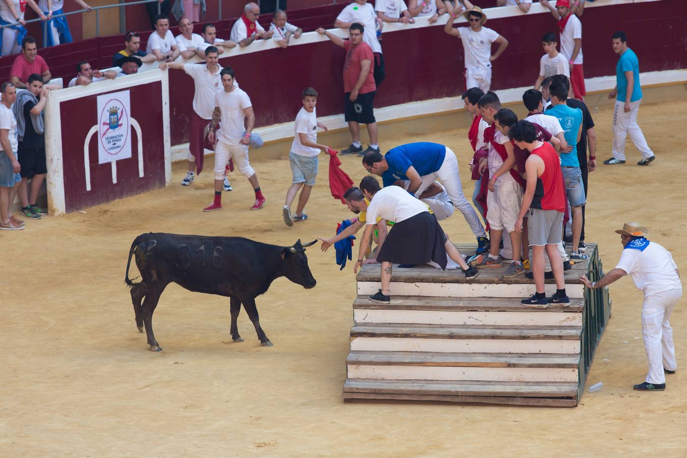 Peñistas, ¡al toro!