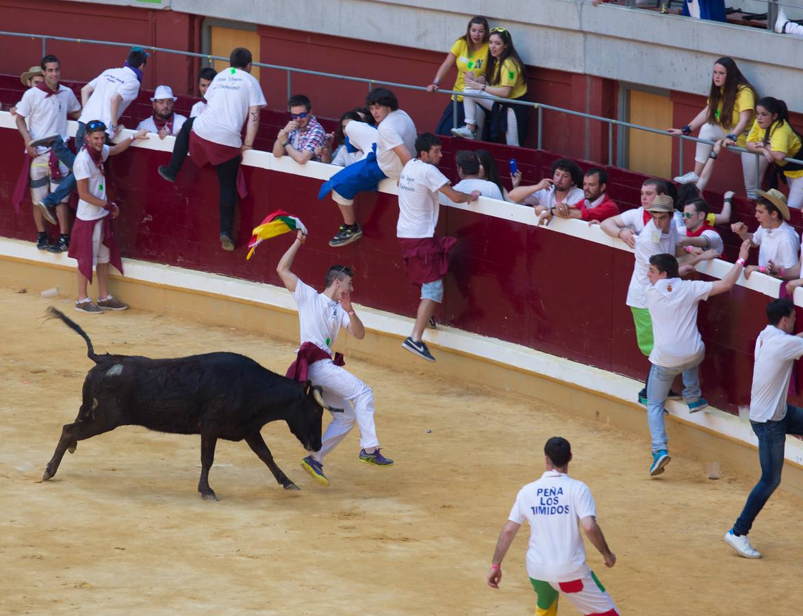 Peñistas, ¡al toro!