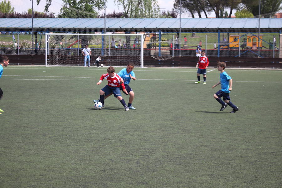 XXVI Torneo Escuela y XIX Torneo Cadete Ciudad de Alfaro