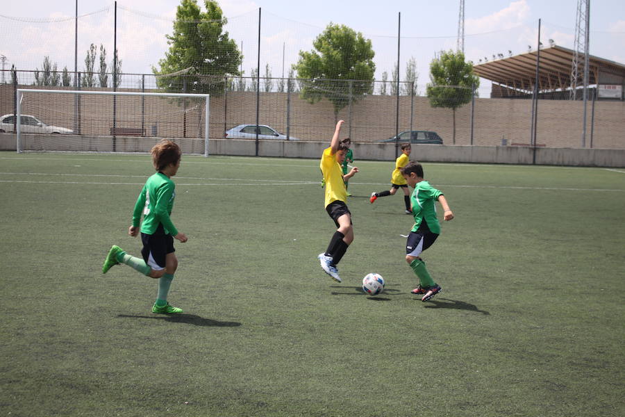 XXVI Torneo Escuela y XIX Torneo Cadete Ciudad de Alfaro