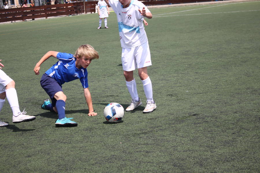 XXVI Torneo Escuela y XIX Torneo Cadete Ciudad de Alfaro