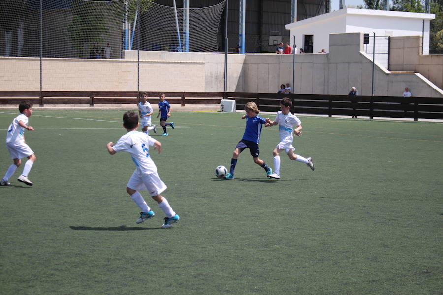 XXVI Torneo Escuela y XIX Torneo Cadete Ciudad de Alfaro