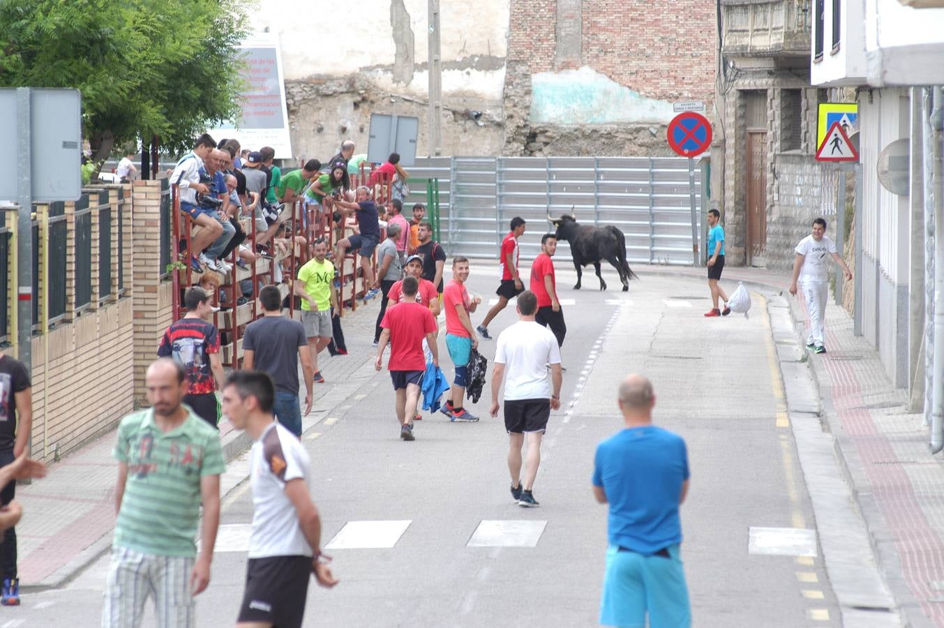 Cervera celebra el día de La Rioja
