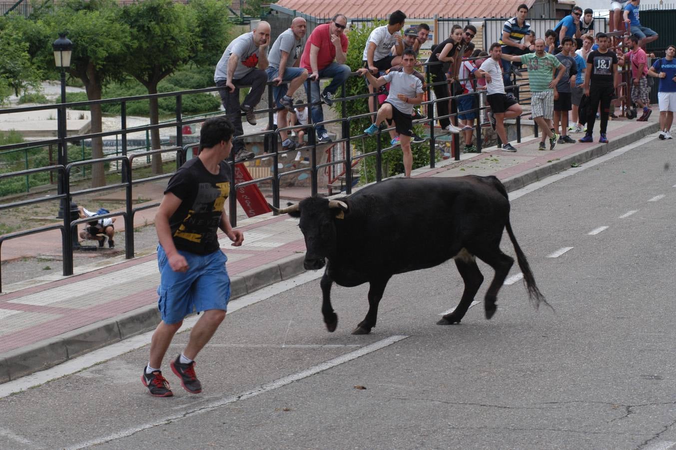 Cervera celebra el día de La Rioja