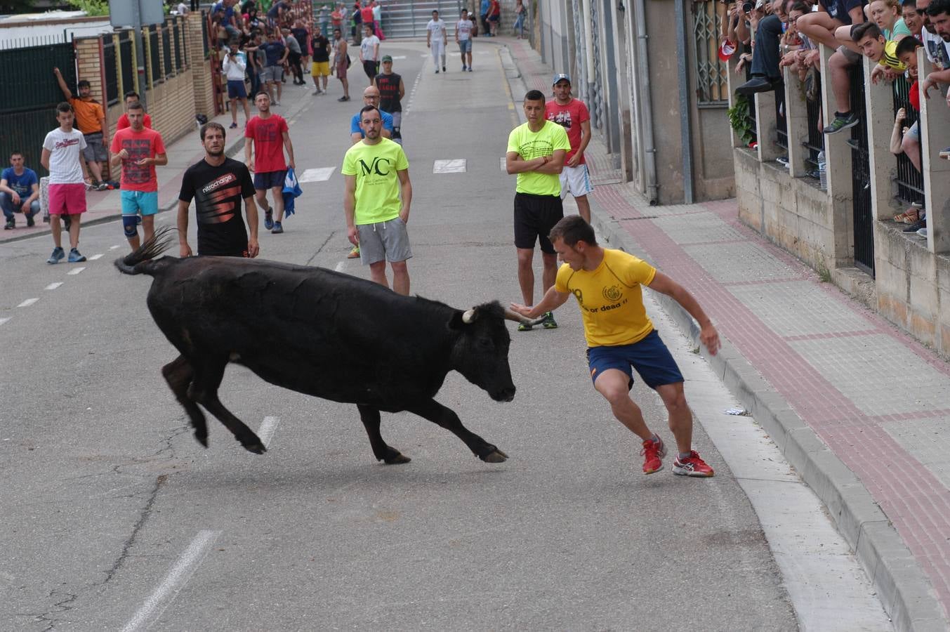 Cervera celebra el día de La Rioja