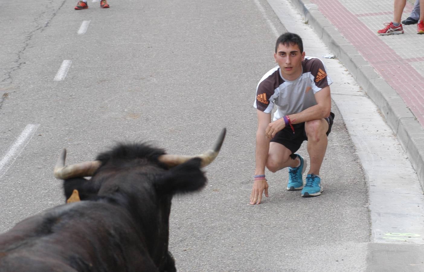 Cervera celebra el día de La Rioja