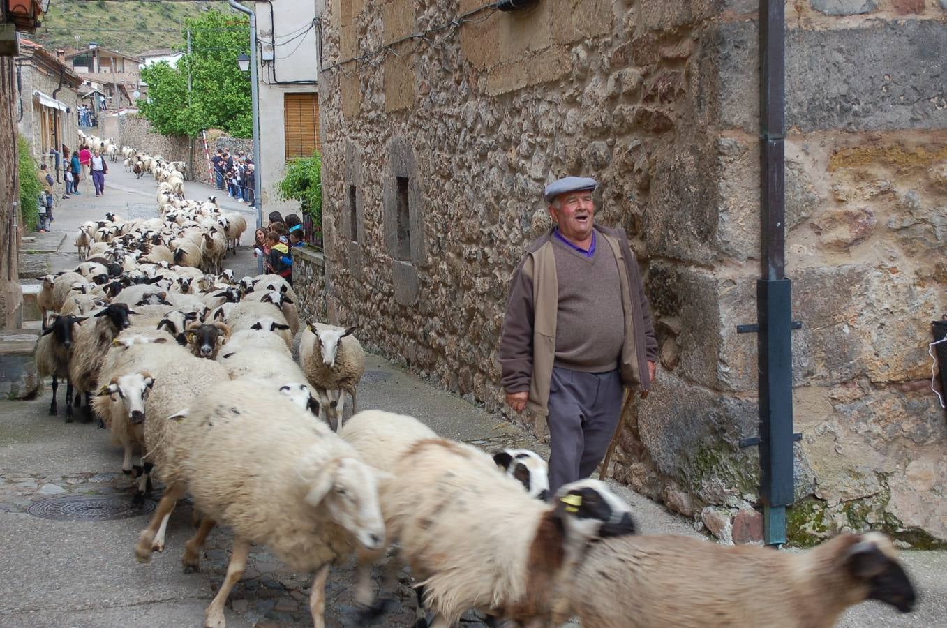 Fiesta de la Trashumancia