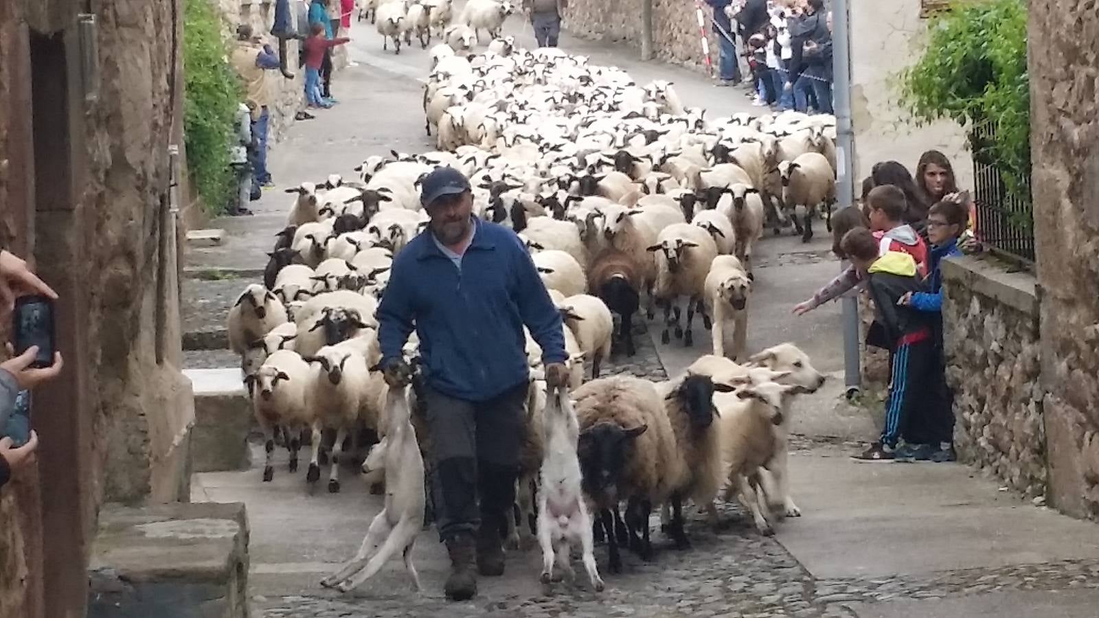 Fiesta de la Trashumancia