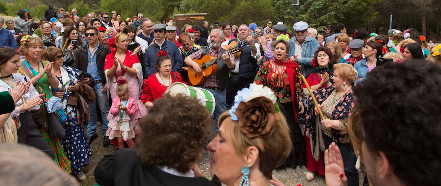 Romería de El Rocío en Logroño