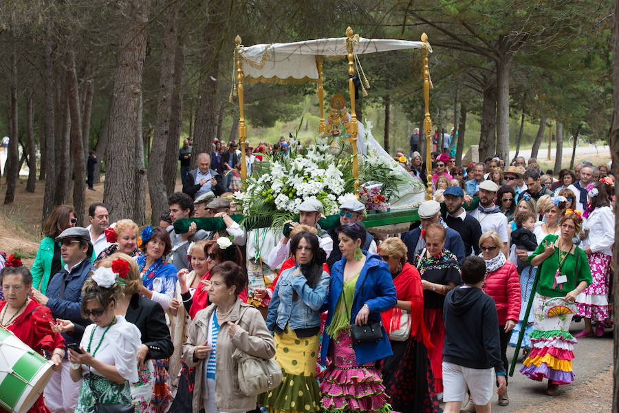 Romería de El Rocío en Logroño