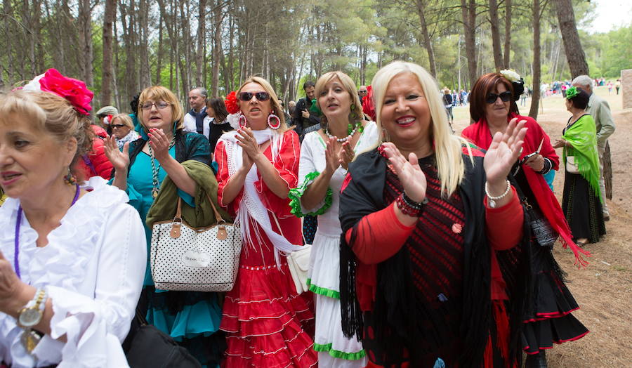 Romería de El Rocío en Logroño