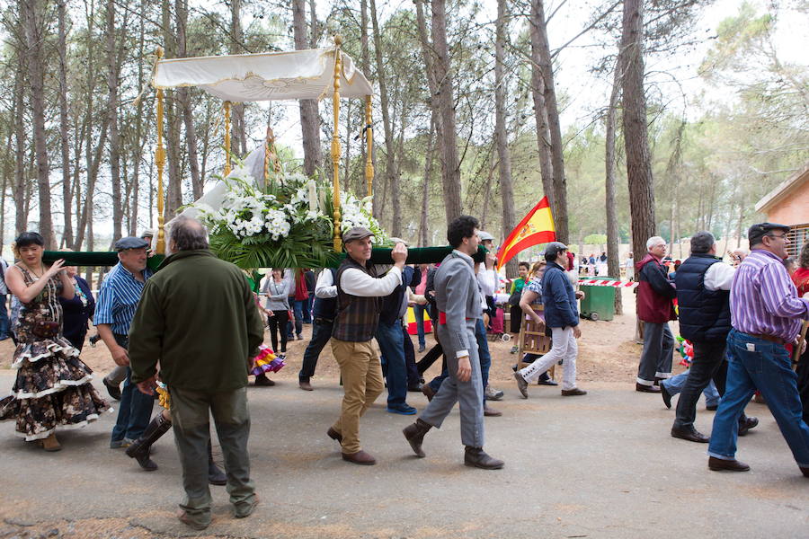 Romería de El Rocío en Logroño