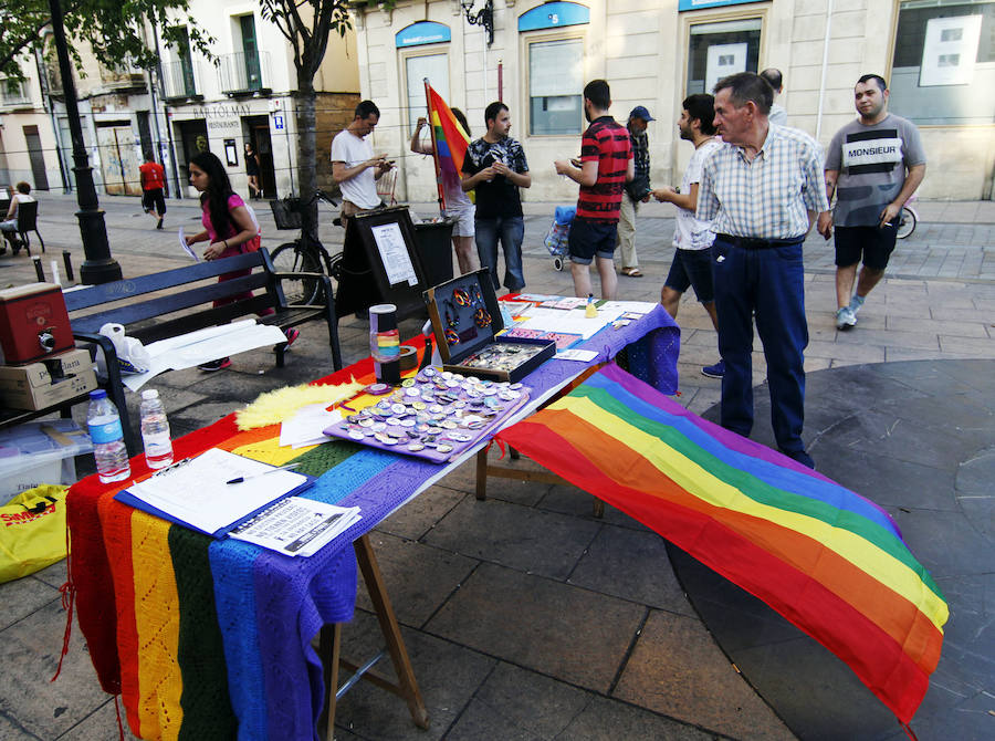 El Día del Orgullo Gay tiñe de color Logroño