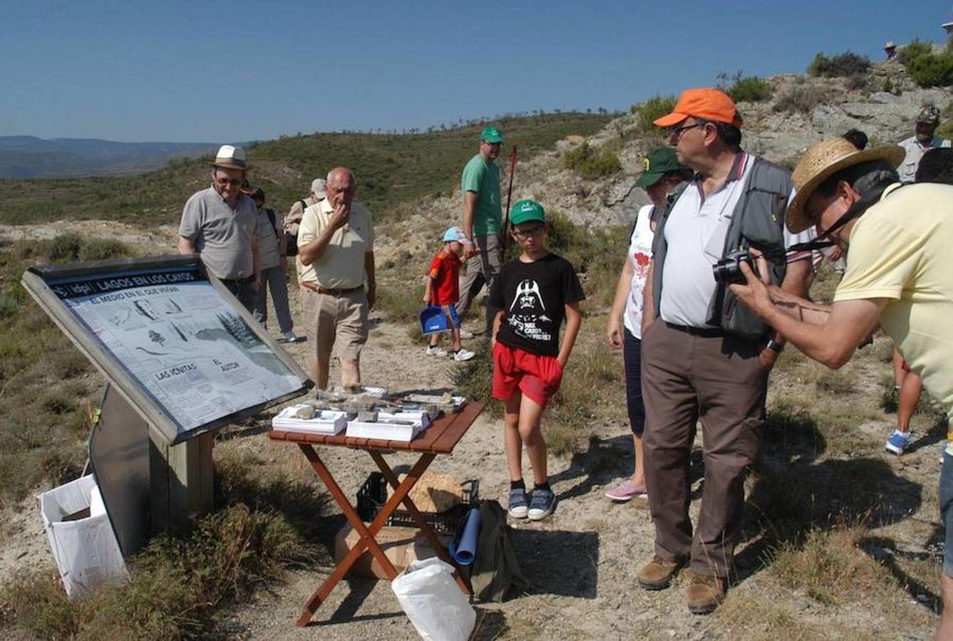 Jornada paleontológica en Cornago