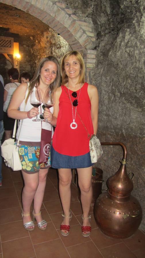 Puertas abiertas en las bodegas de Villamediana