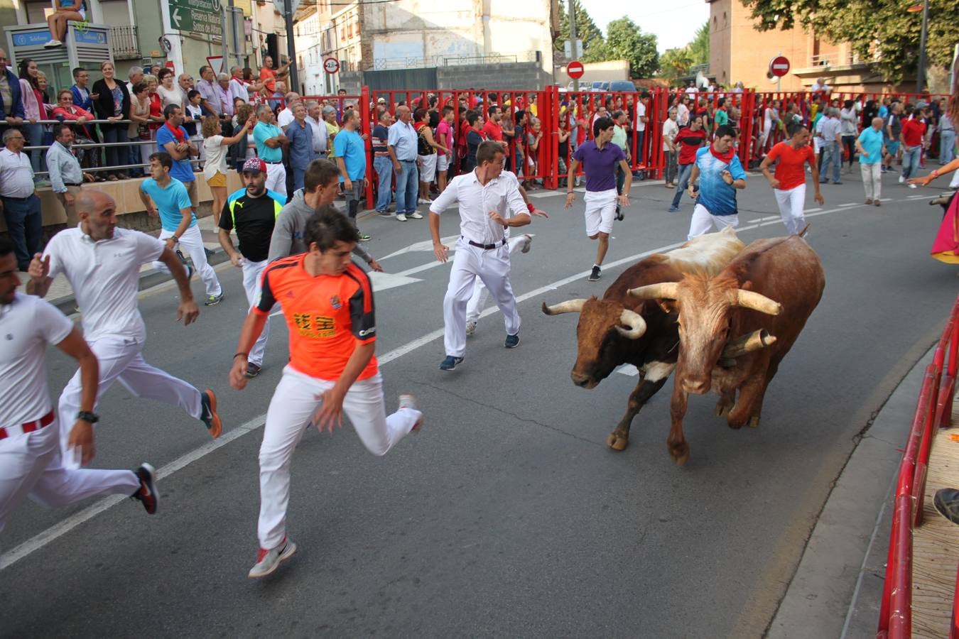 Día grande en Alfaro