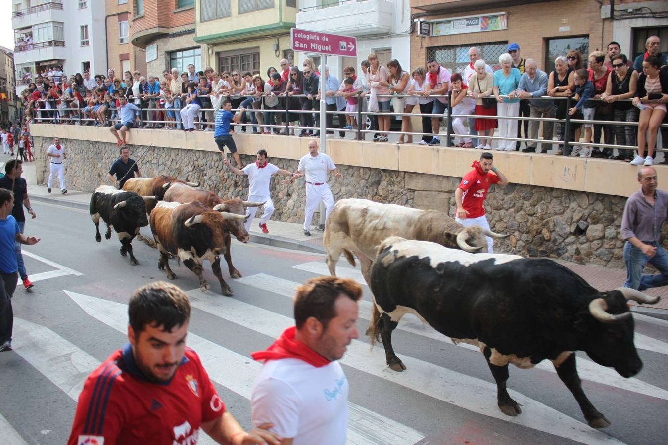 Día grande en Alfaro