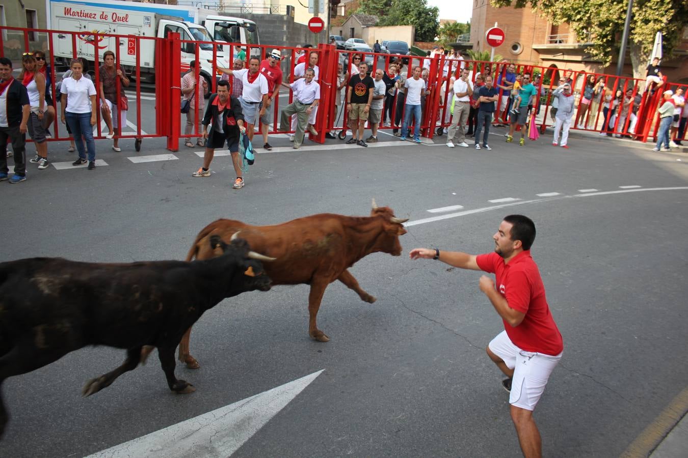 Día grande en Alfaro