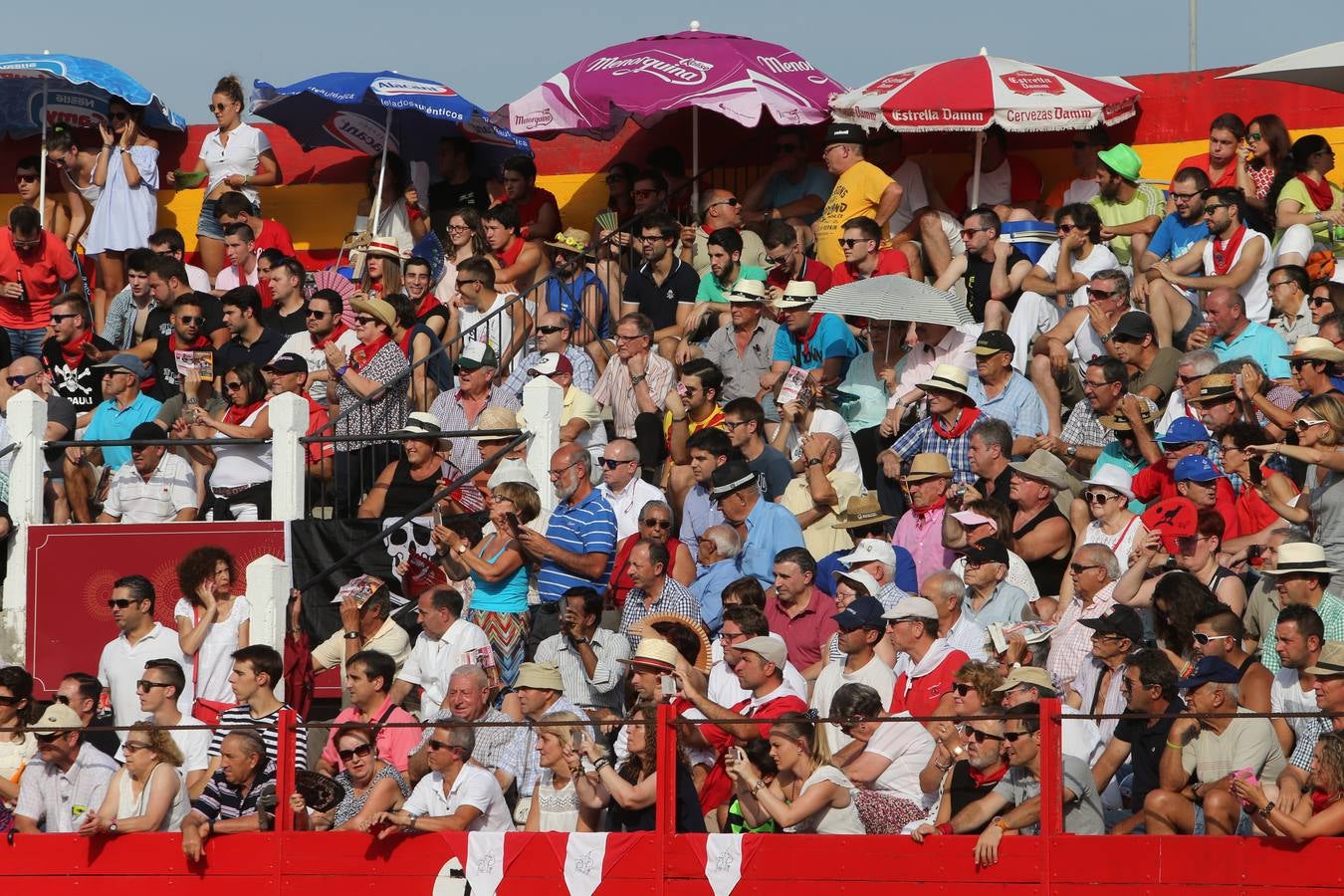 Gran tarde de toros en Alfaro