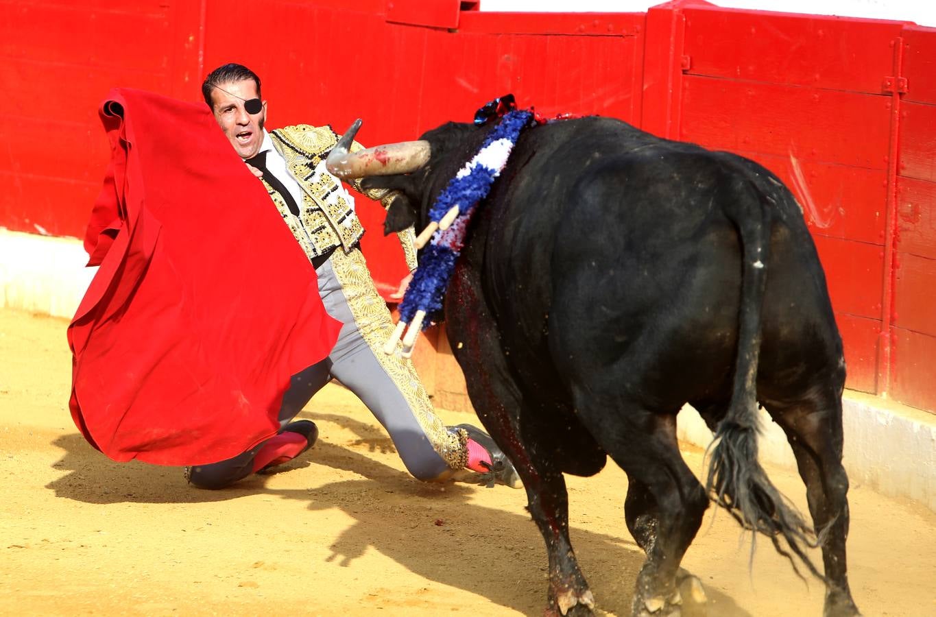 Gran tarde de toros en Alfaro