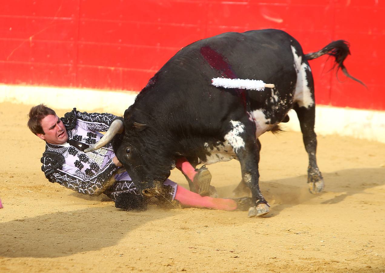 Gran tarde de toros en Alfaro