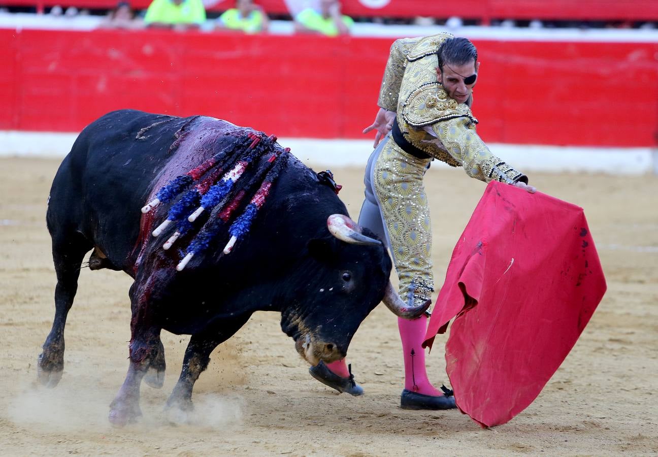 Gran tarde de toros en Alfaro