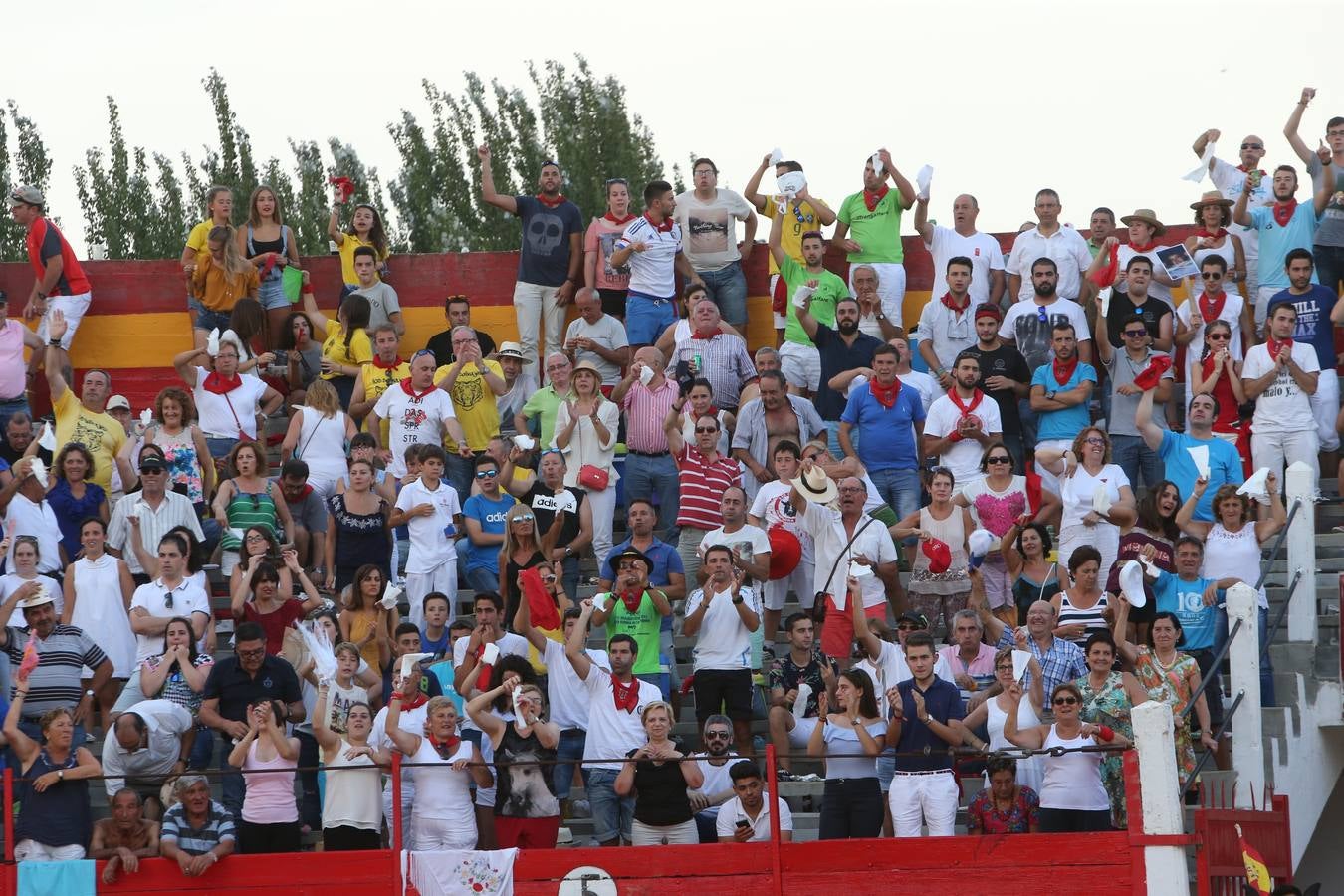 Gran tarde de toros en Alfaro