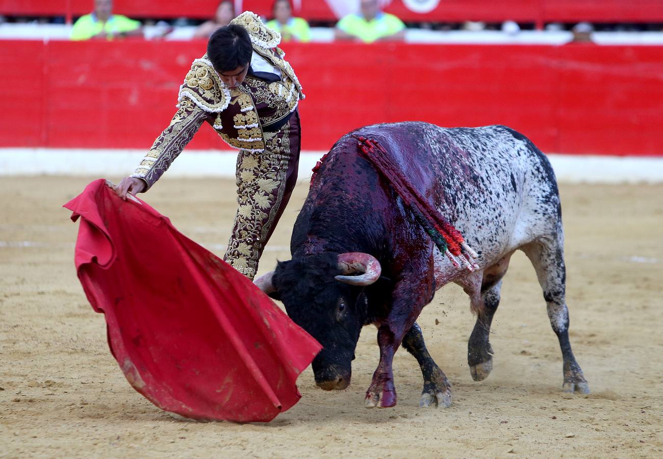 Gran tarde de toros en Alfaro