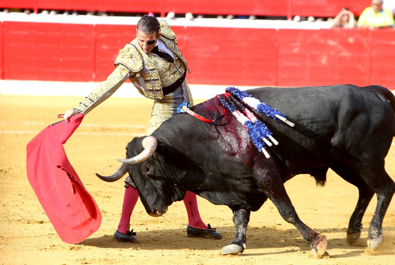 Gran tarde de toros en Alfaro