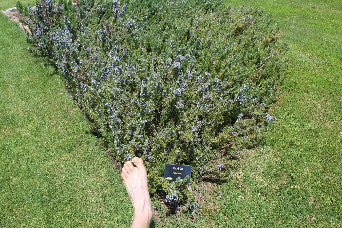 Delicias en La Rioja