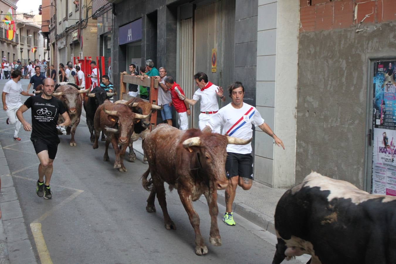 Alfaro se desanuda el pañuelo