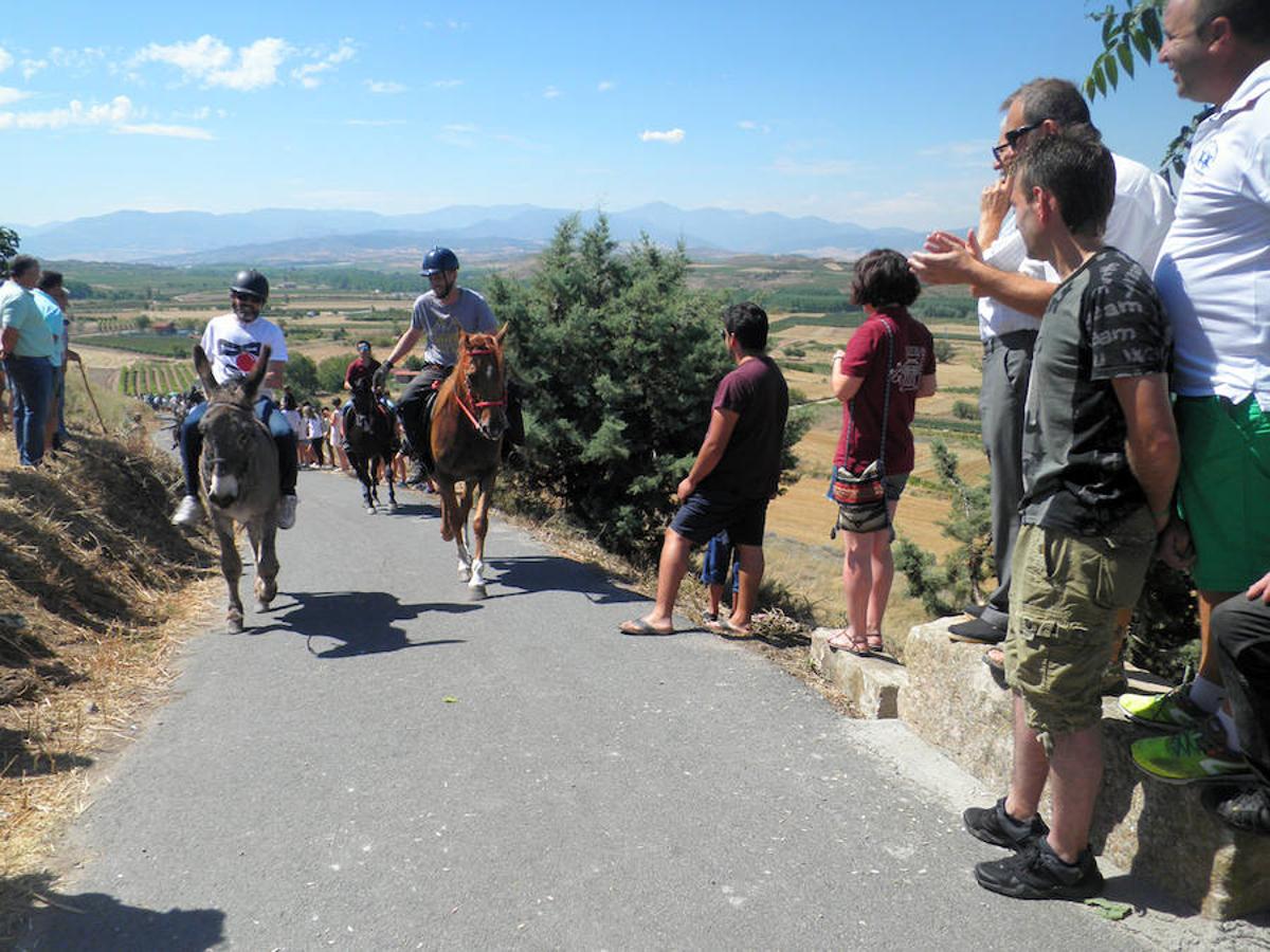 Tricio celebra su tradicional carrera de burros