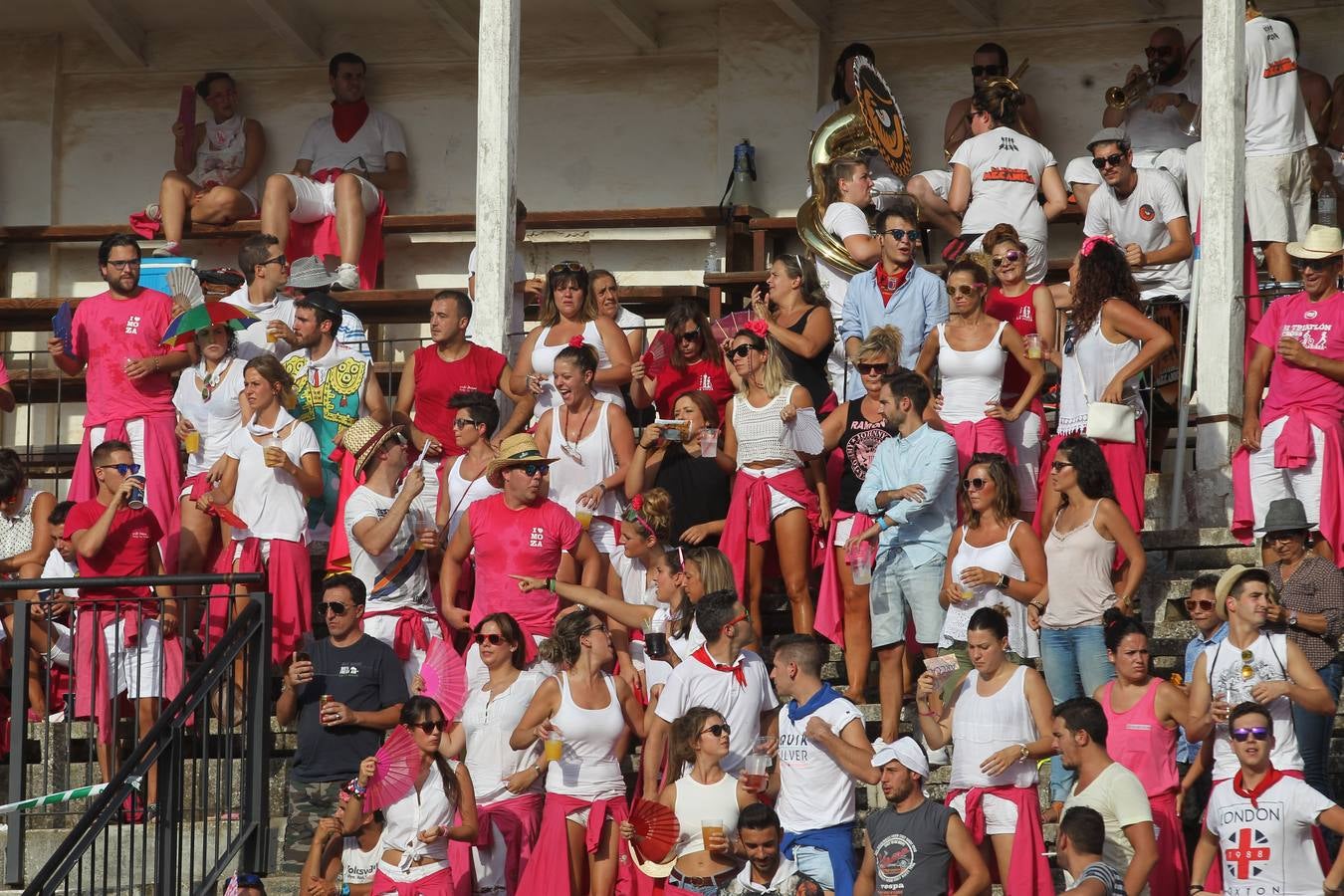 Toros en las fiestas de Calahorra