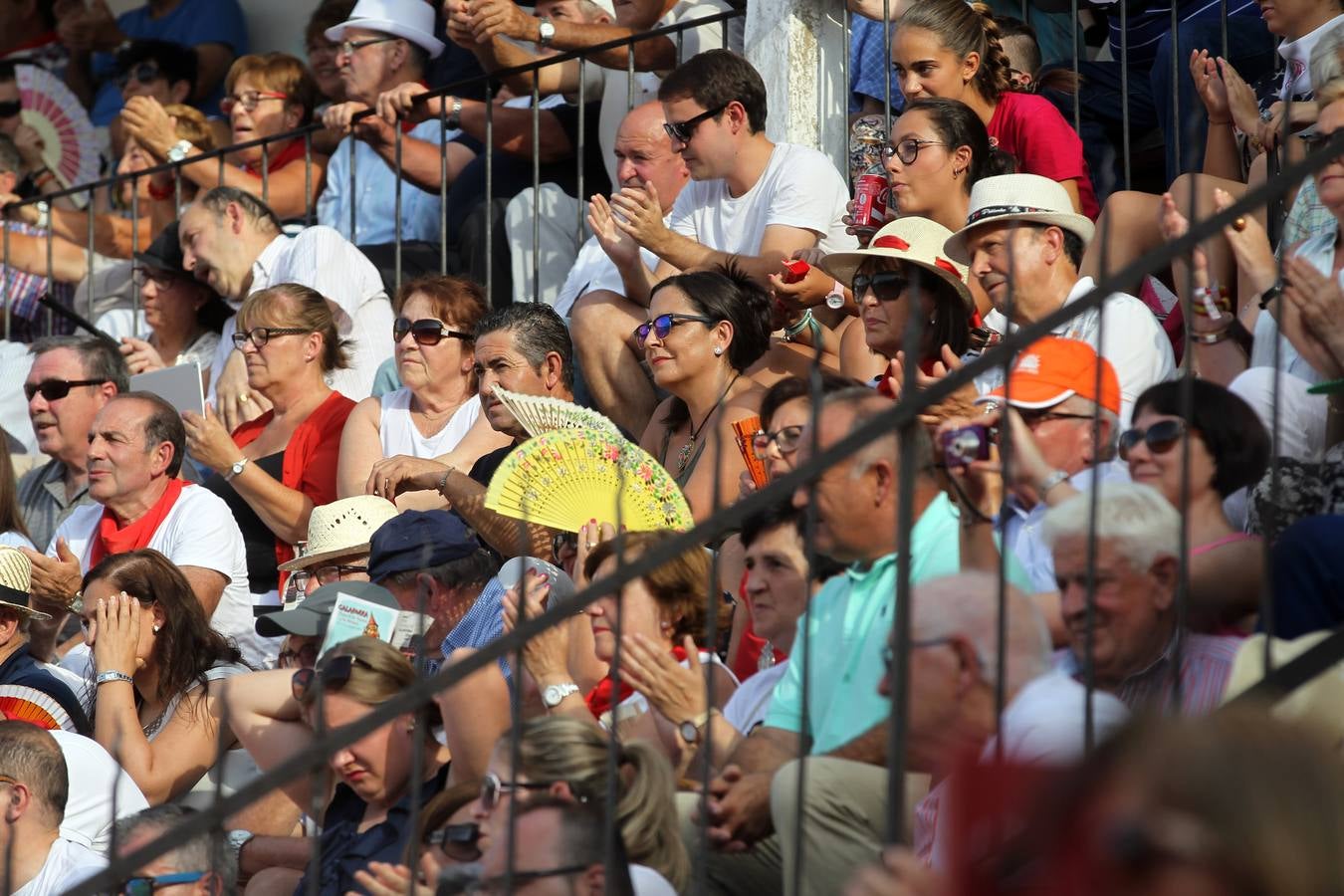 Toros en las fiestas de Calahorra