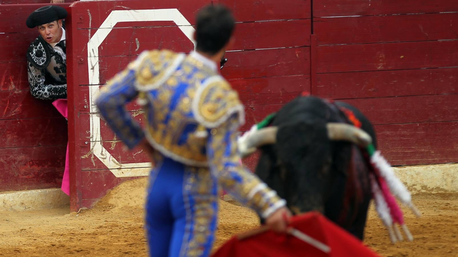 Toros en las fiestas de Calahorra