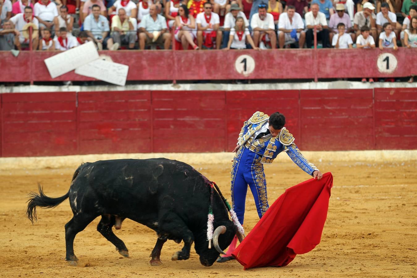 Toros en las fiestas de Calahorra