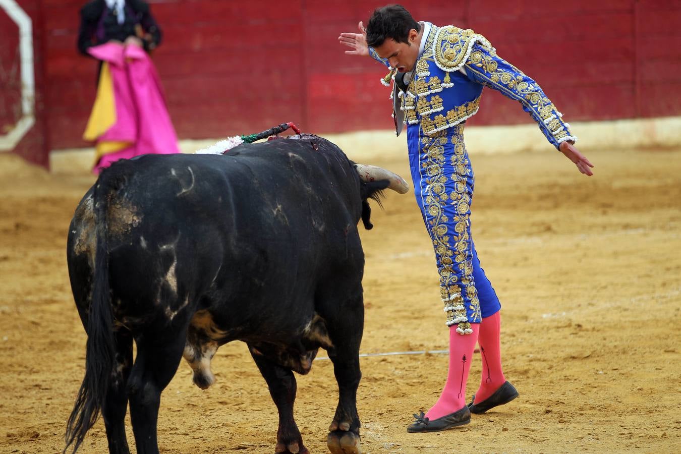 Toros en las fiestas de Calahorra