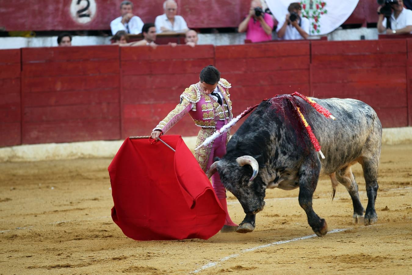 Toros en las fiestas de Calahorra