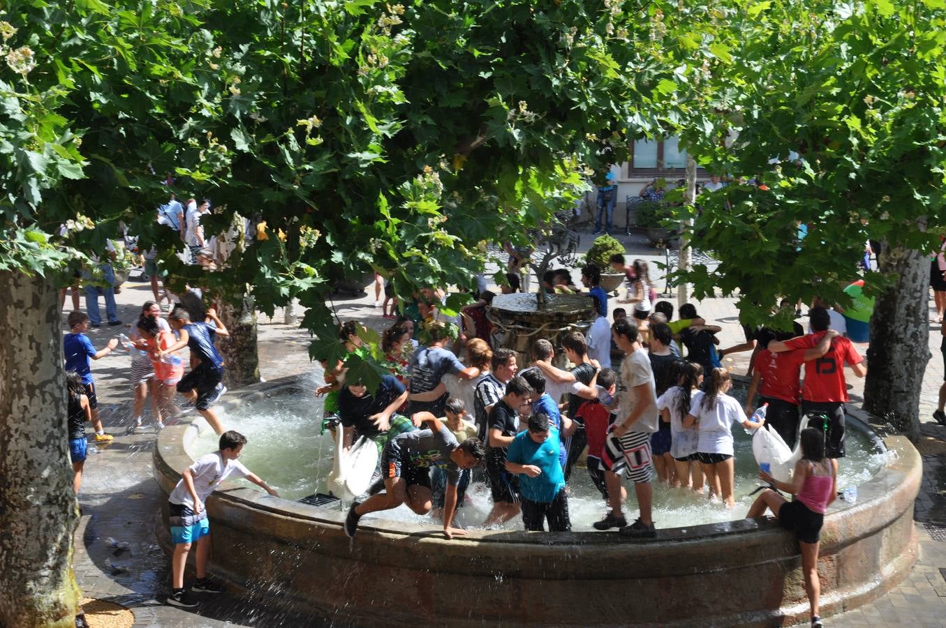 San Vicente de la Sonsierra lanza el cohete