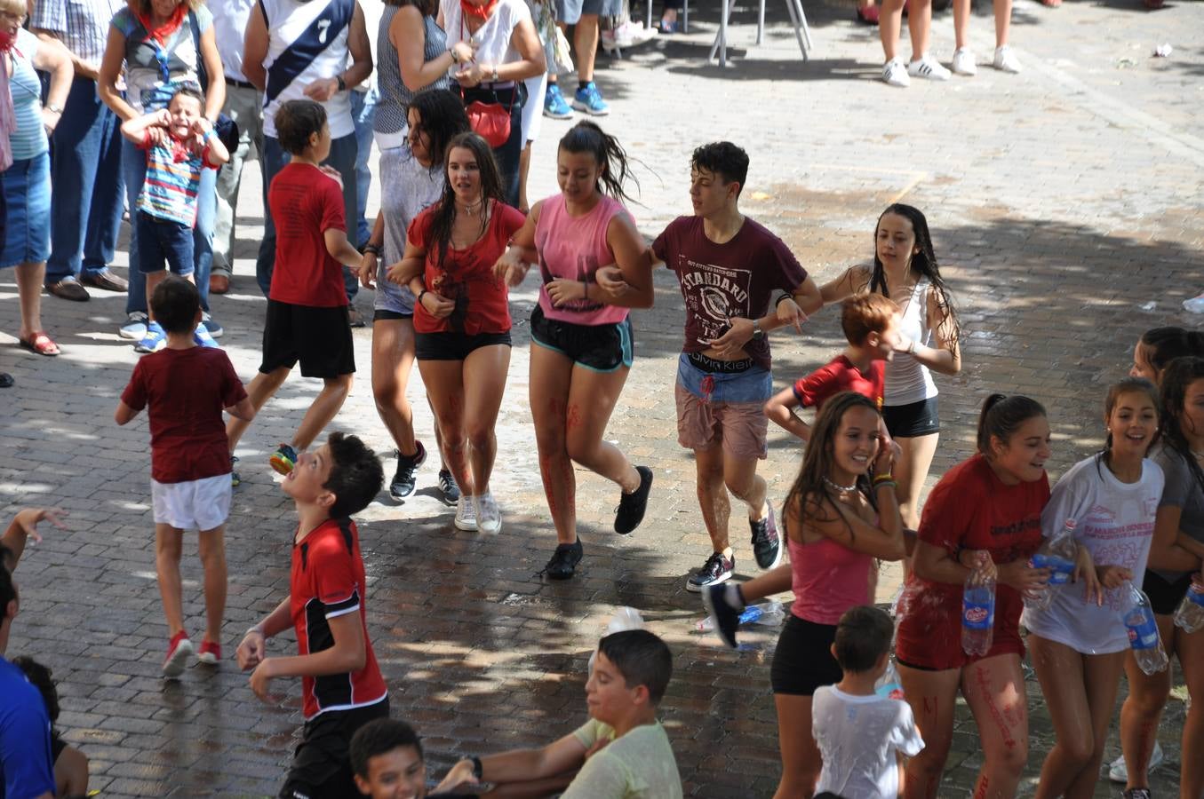 San Vicente de la Sonsierra lanza el cohete