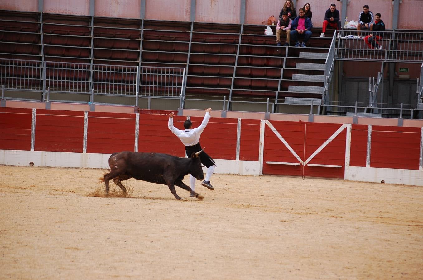 Nájera en fiestas