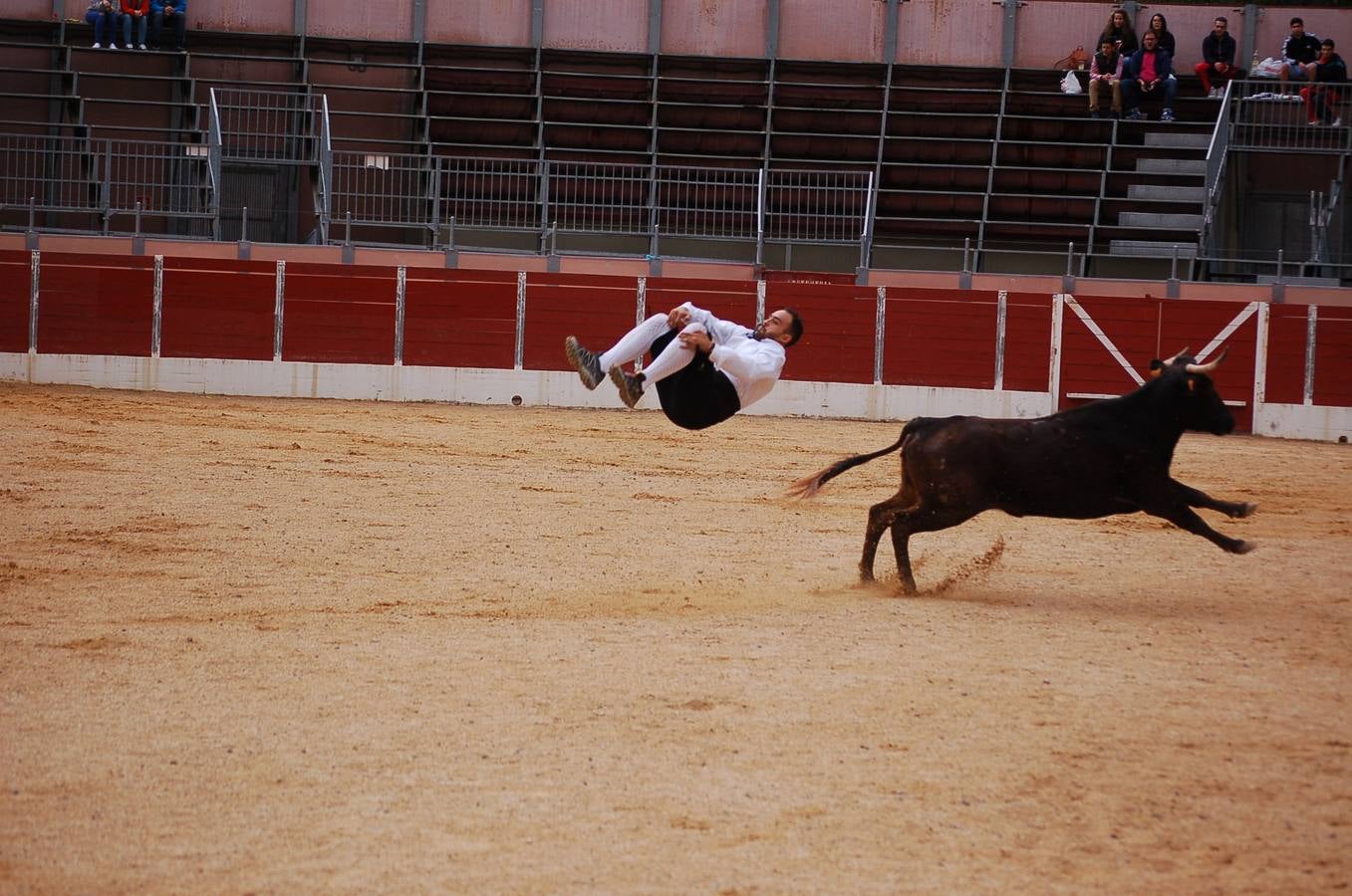 Nájera en fiestas