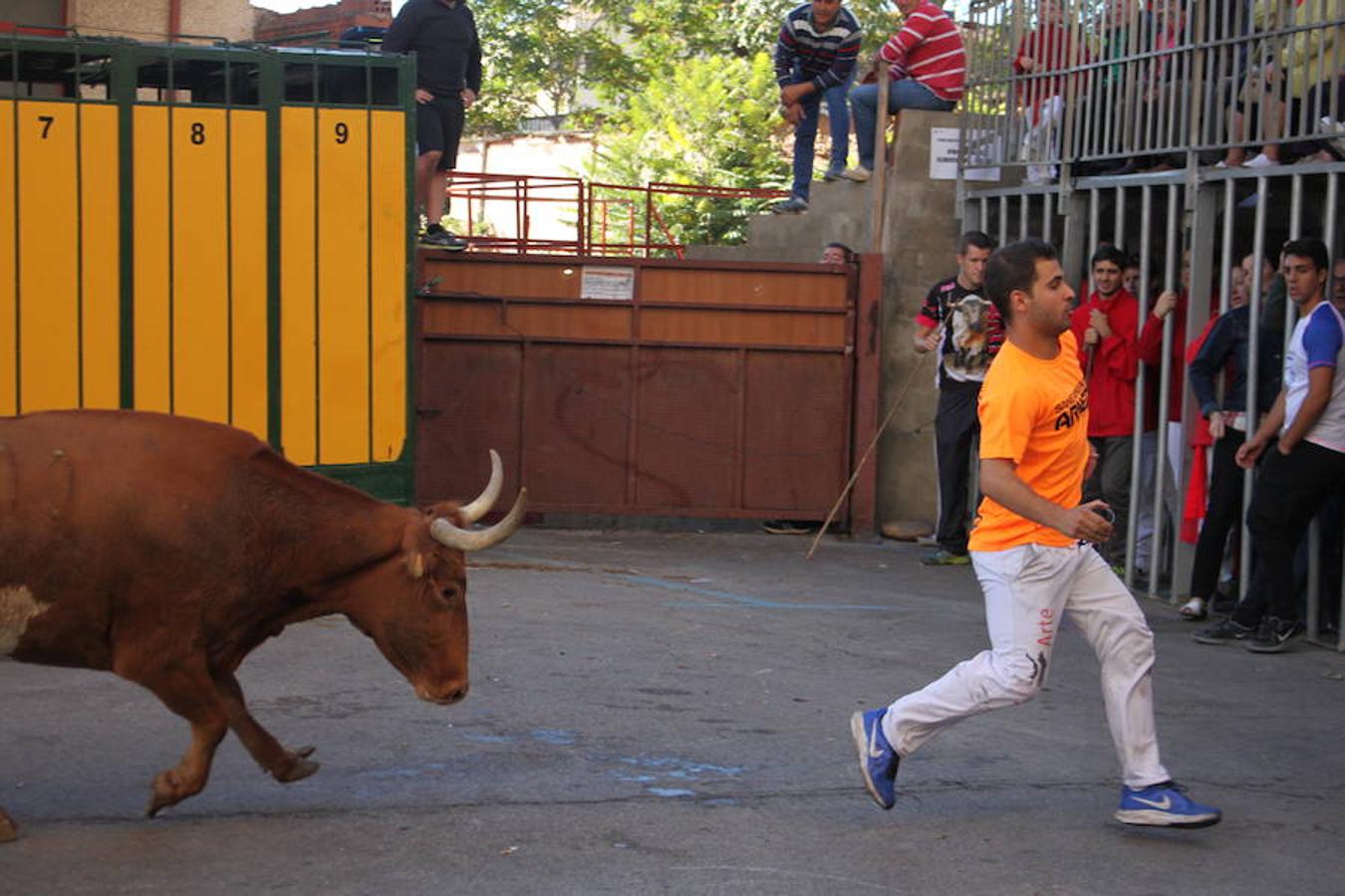 Cuarto día de fiestas en Arnedo