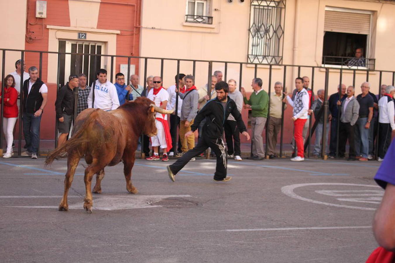 Cuarto día de fiestas en Arnedo