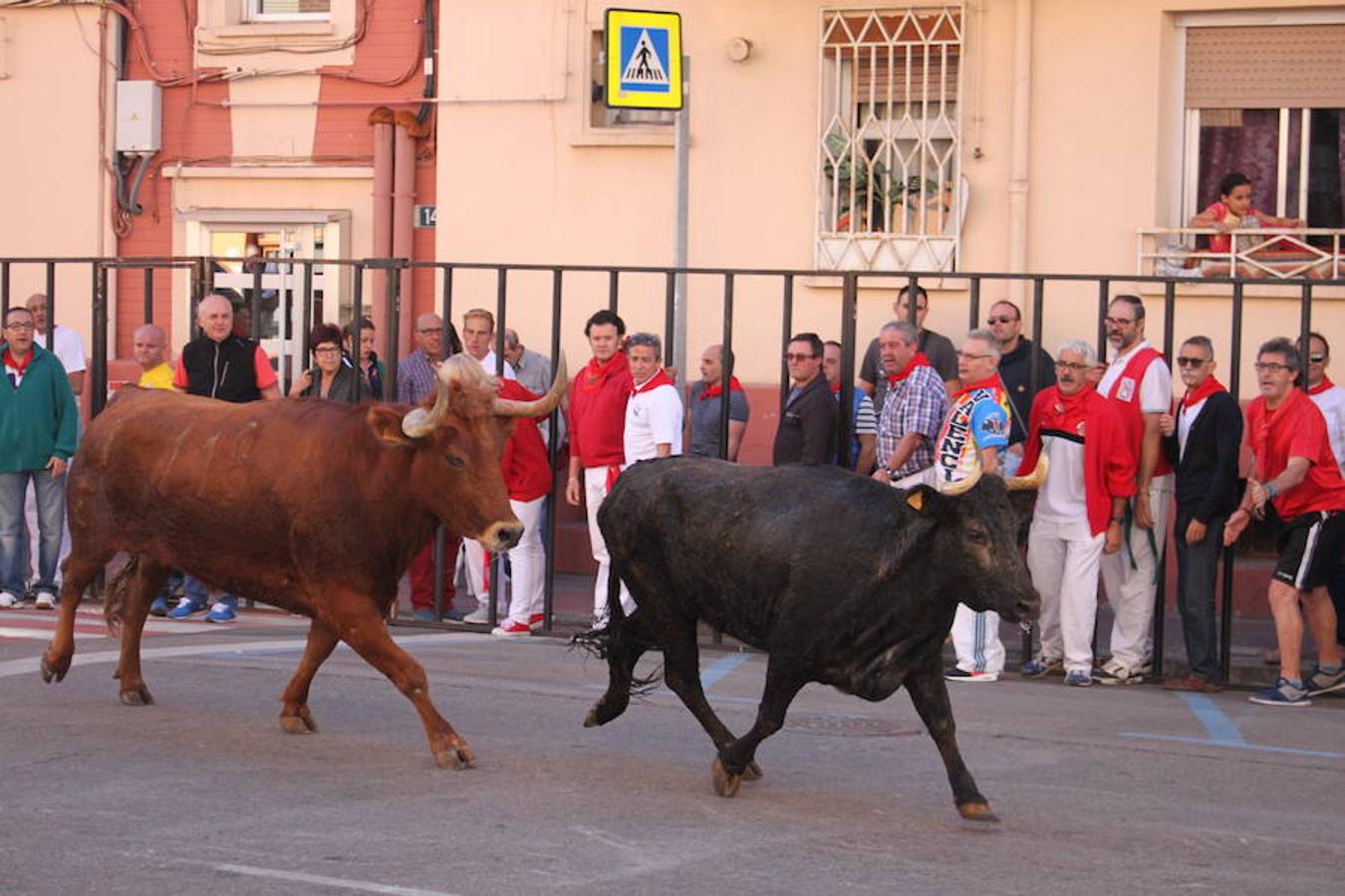 Cuarto día de fiestas en Arnedo