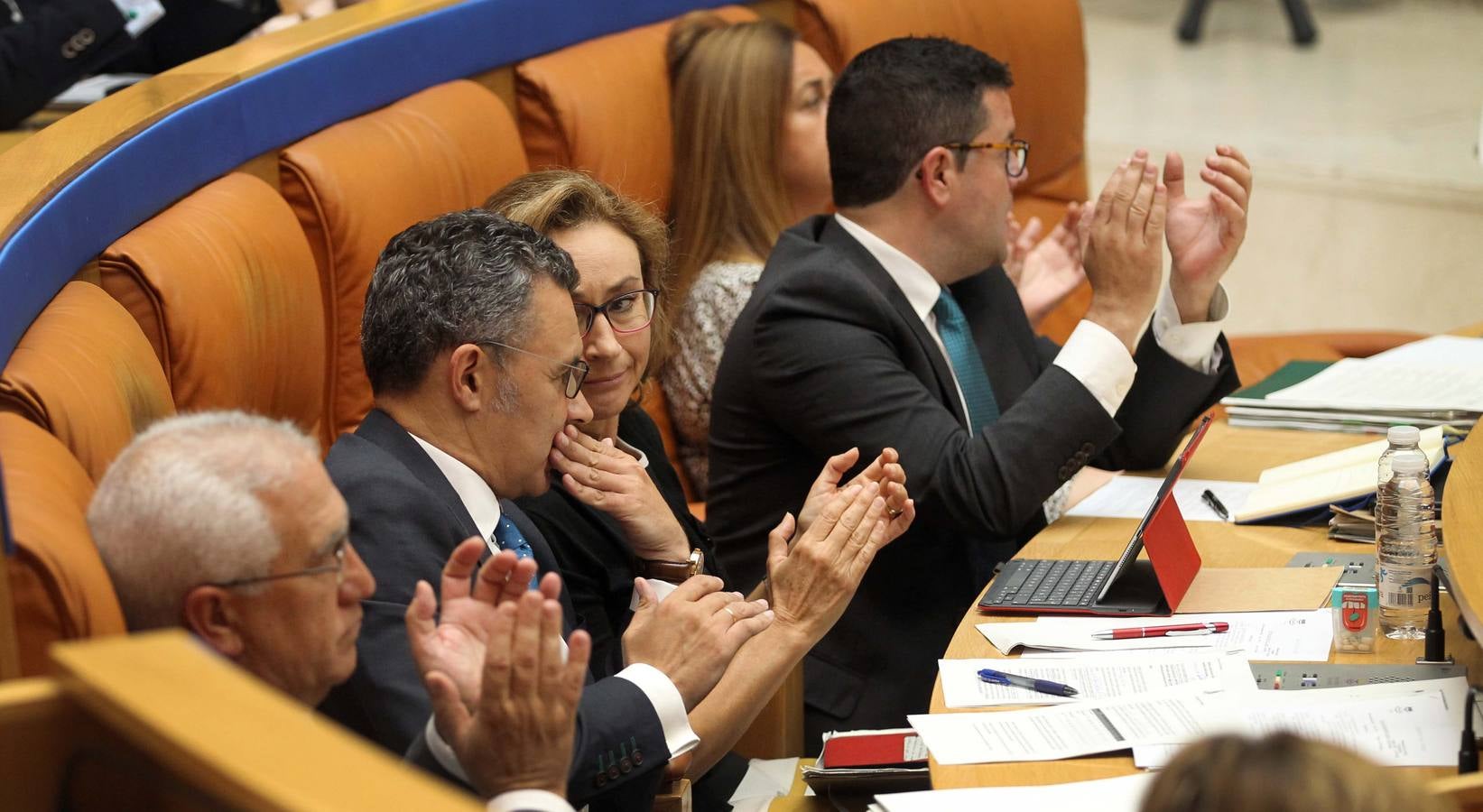 Los gestos en el Pleno del Parlamento riojano