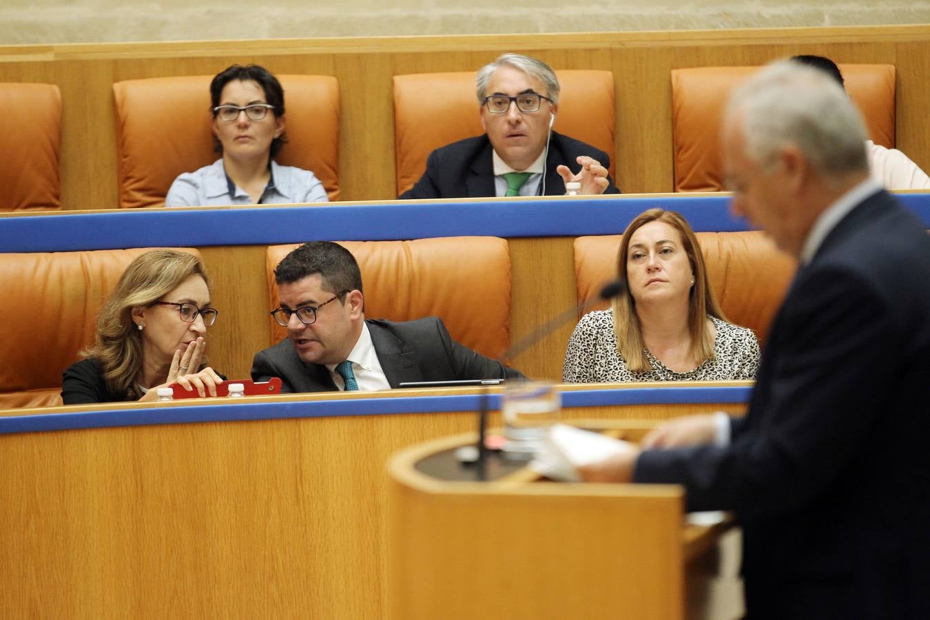 Los gestos en el Pleno del Parlamento riojano