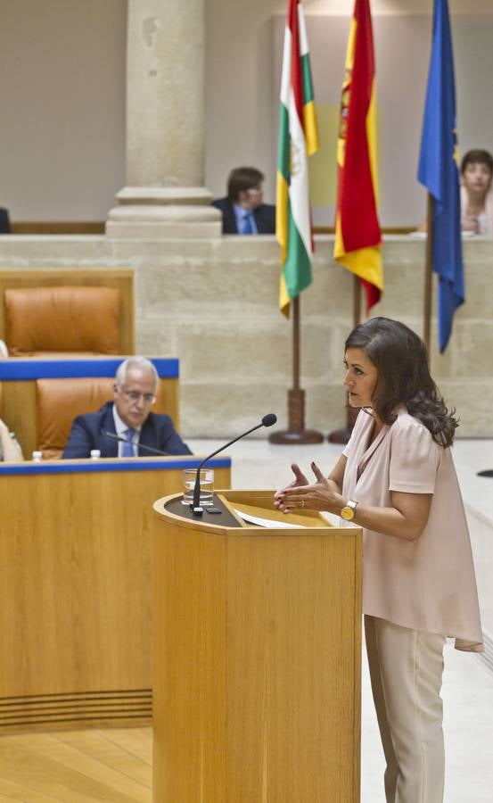 Los gestos en el Pleno del Parlamento riojano