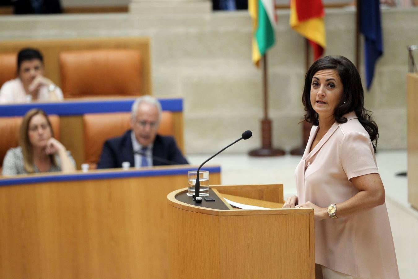 Los gestos en el Pleno del Parlamento riojano